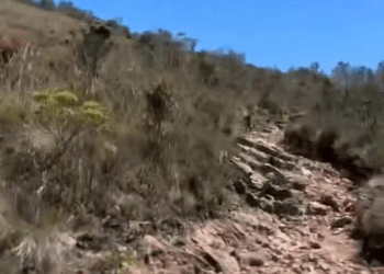 M1105013 Todavía creo en la humanidad By amor puro Part 2