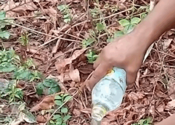 M1105022 Good Samaritan Rescues Sheep Stuck In River Part 2