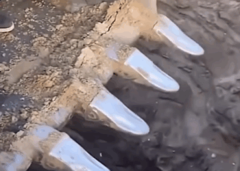 M1605002 Good deeds always pay Part 2