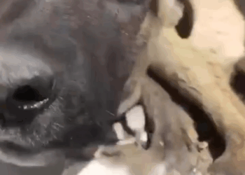 M1605003 Sun 5 13 25 721668880428512 Part 2