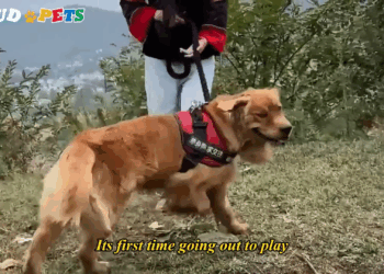 M1605001 Stop running Come back ll take care of you Part 2