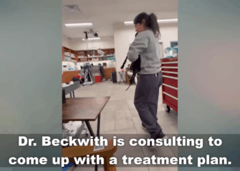 M1605007 Owner Vanishes on Vacation