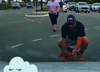 M3058 reactions #trendingvideo #shorts #virals # Joni CR part 2