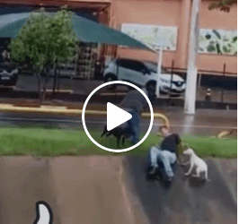 M1605016 trendingvideo shorts virals Joni CR Part 2