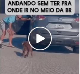 M1605017 Um gesto de bondade Parabéns As mãos que resgatam são abençoadas