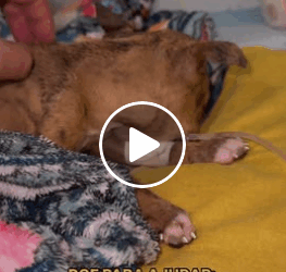 M1605029 Essa foi última imagem antes da batalha