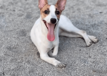 M2005003 113K views 5