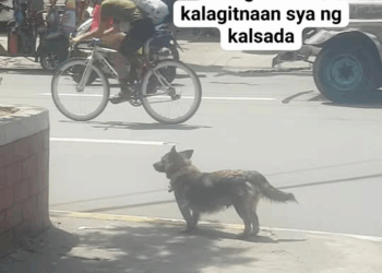 M30514 Location abad santos LRT tapat ng 7 eleven Jonnel Agang part 2