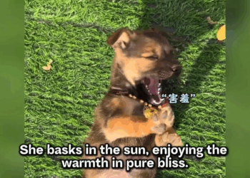 M2005012 She Was Terrified of the World But Now She the Princess of the House Part 2