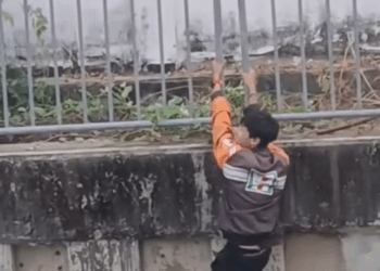 M30515 #trendingvideo #shorts #virals # Joni CR part 2