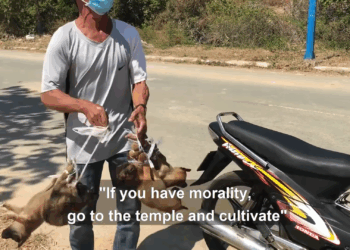 M2105017 Rescue five puppies from the evil hand of the dog dealer Part 2