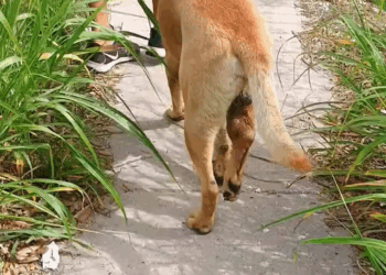 M2305006 186K views 3