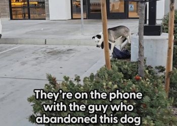 M2305008 They Just Got This Abandoned Dog Owner On The Phone Part 1