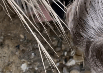 M2305016 guardian angel was watching over them keeping them safe Part 2