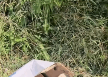 M2305017 Another right place right time moment