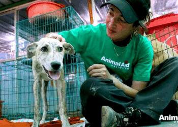 M2305026 Puppy agonising screams turn into smiles and barks of joy Part 2