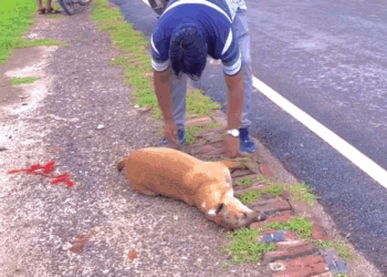 M2305027 रख यव Part 2