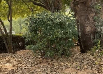 M2305028 86K views 36K reactions Hope someone out there give hand since we have no funds to afford the treatment bills since we have limited funds at the moment and we re currently su Part 2