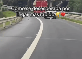 M2805002 perritos dog doglove cachorros rescateanimal Huellitas part 2