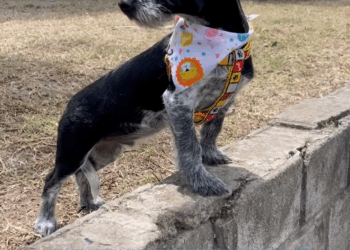 M2805015 El poder del AMOR part 2