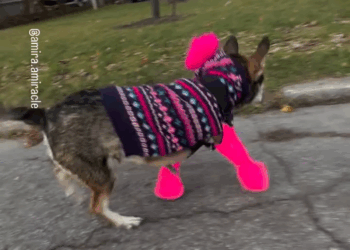 M2805018 This girl our miracle