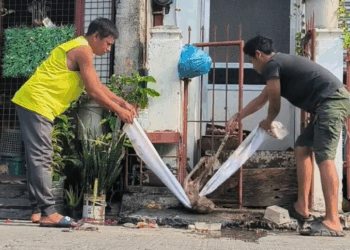 M2805021 Asong Iniwan ng Amo pero Himalang Nabuhay part 2