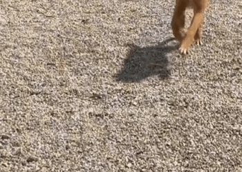 M2805029 Hiciste un buen trabajo mamá part 2