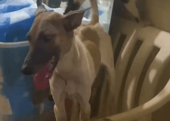 M2805030 Su vida cambio para siempre part 2