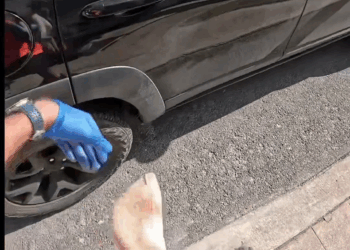 M2805033 Rescatando Happy part 2