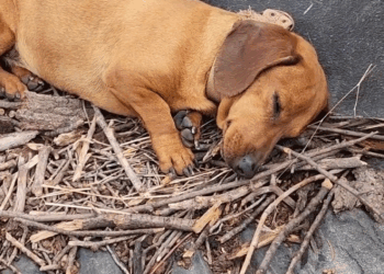 M2805034 Su familia lo abandonó part 2