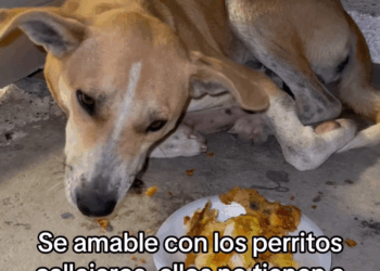 M0605008 Por favor 💔🥹 part 2