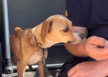 M2905012 Doucement tu auras nouveau confiance être humain pour vous love amour