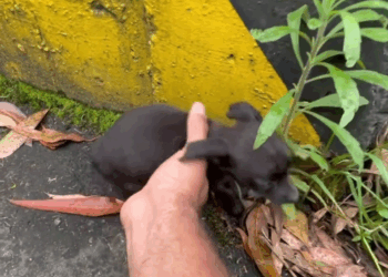 M0605010 Quien le puedo hacer tanto d4ñ0 😭💔 part 2