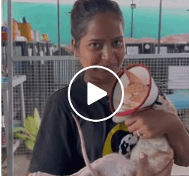 M2905028 Rescued cat who had fallen in can of paint which can be toxic to animal part2