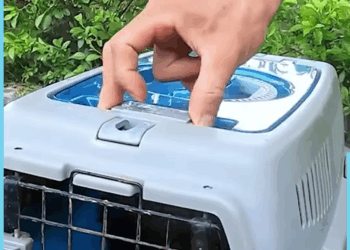 M30528 Man Rescued Abandoned Puppy!🐶❤️🏡 Part 000