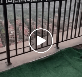 M0805001 Floors up Dog Heart Racing Part 2