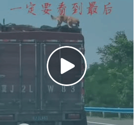 M0905023 45K views 1