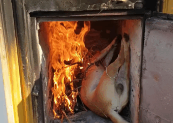 M1105004 ทำบ ญเผาส ตว Part 2