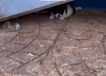 M2907029 Quien puede 4b4ndon4r algo tan lindo Jose Delgado (2) part1 Copy