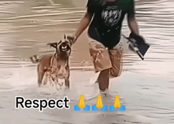 M2907038 trendingvideo shorts virals Joni CR (2) part2 Copy