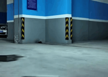 M1008006 dog daddyofdogs fyp part2