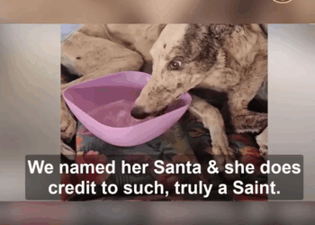 M1008013_She Thought It Was the End But It Was the First Chapter_part2