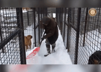 M1008031 Cold Hungry and Forgotten His Eyes Begged for Warmth and Love part2