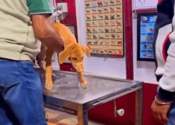 M1108002 Una decision lo cambia todo part2