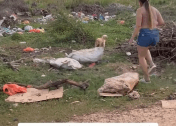 M1108007 Ellos también merecen recibir amor cuidado part2