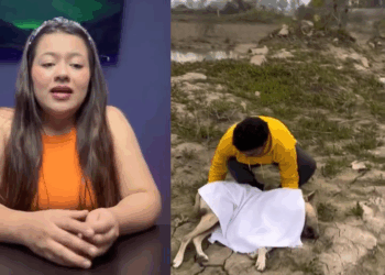 M1108010 Hermoso el gesto de este chico con este peludito part2