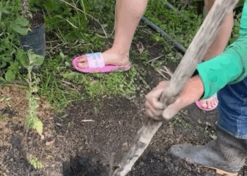 M1108011 Esta joven fue criticada por despedir su mascota de esta manera part2