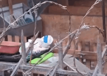 M1108014 notihuellitas Esta es la versión de la persona que nos escribe Soy Nancy villavicencio ccahuancama Pertenezco un grupo de wsp conc part2