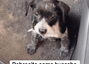 M1108017 Jose Delgado on Reels part2