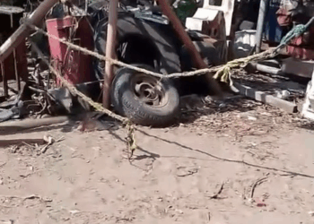 M1108019 AYUDA URGENTE Los trabajadores lo alimentaban diario pero llevaba tres días sin aparecer Cuando por fin lo encontraron estaba part2